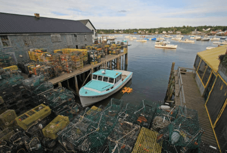 Maine lobster dock with traps stacked and boats in harbor